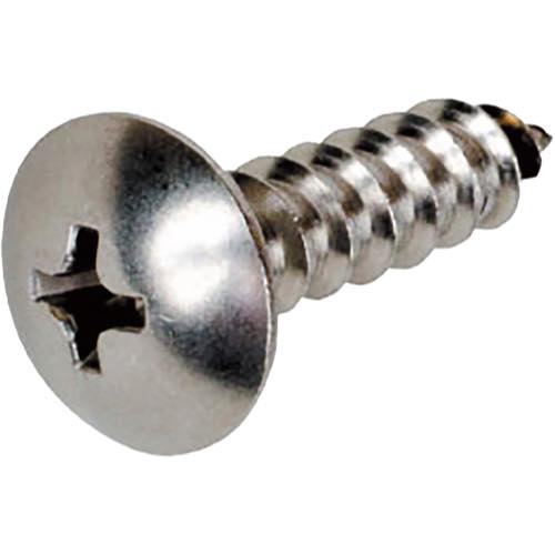 BAUHAUS(バウハウス)【32ソフトアクアレール　ベースプレート用 トラスタッピンねじ 5×20】SAQ-OP6(040-7326)