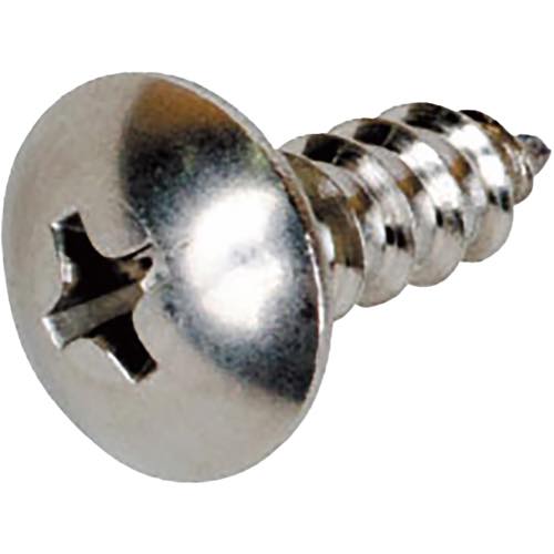 BAUHAUS(バウハウス)【32ソフトアクアレール　ベースプレート用 トラスタッピンねじ 5×16】SAQ-OP5(040-7325)