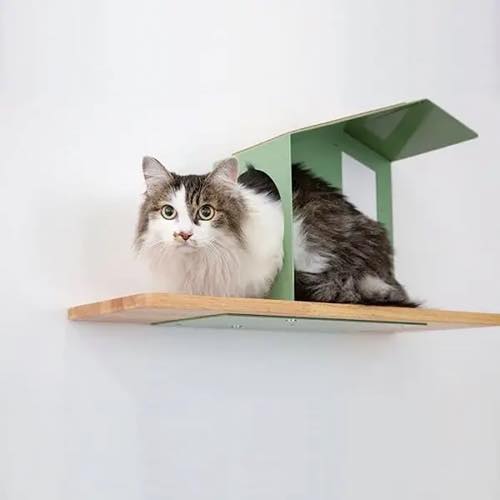 カツデン【NeconoMaネコノマ　タイプC】House タイプC ペールグリーン～他